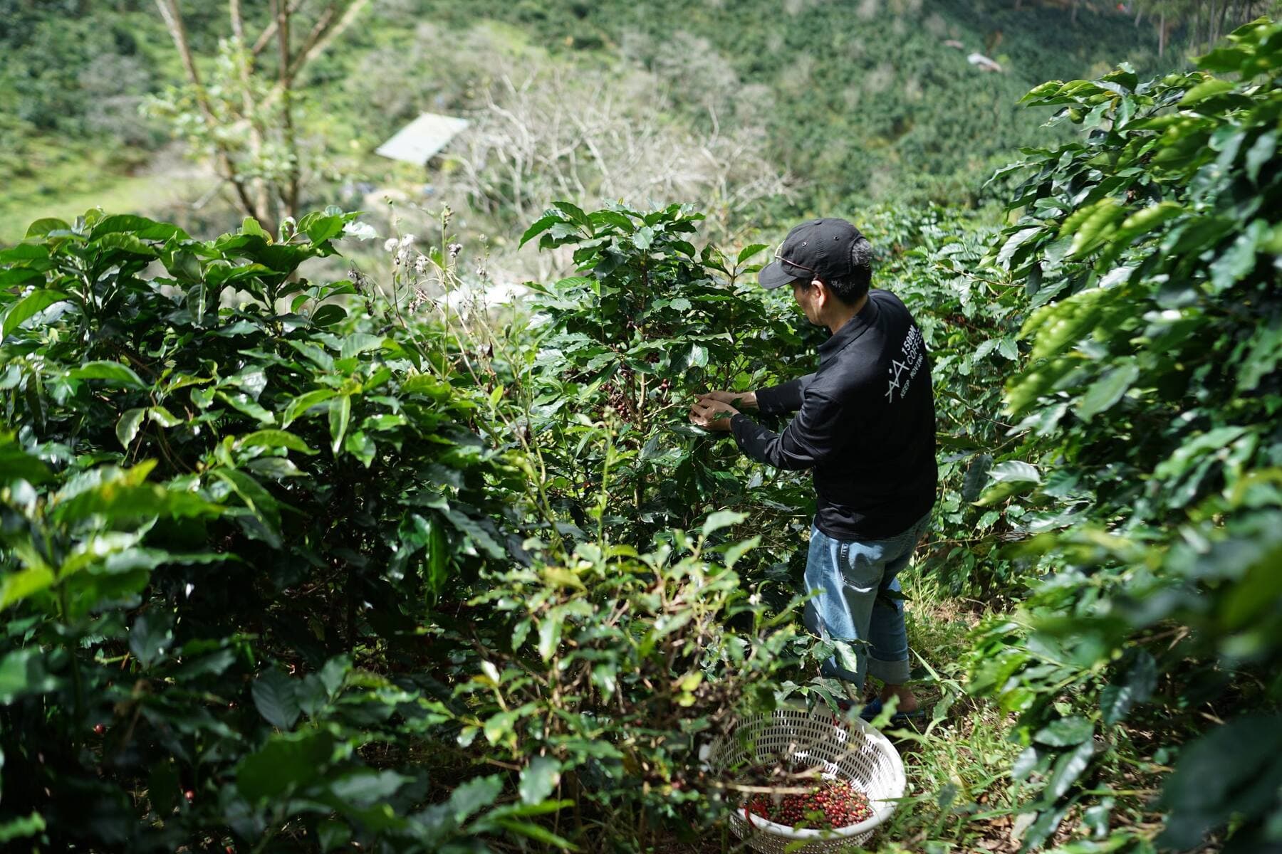 Responsible sourcing at Clady Group