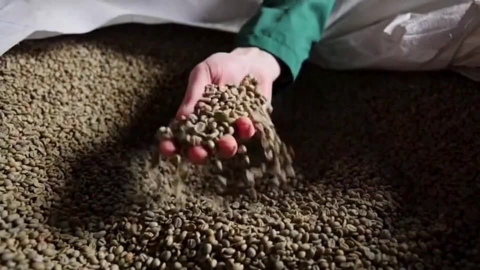 Still from the Clady Group company story video
